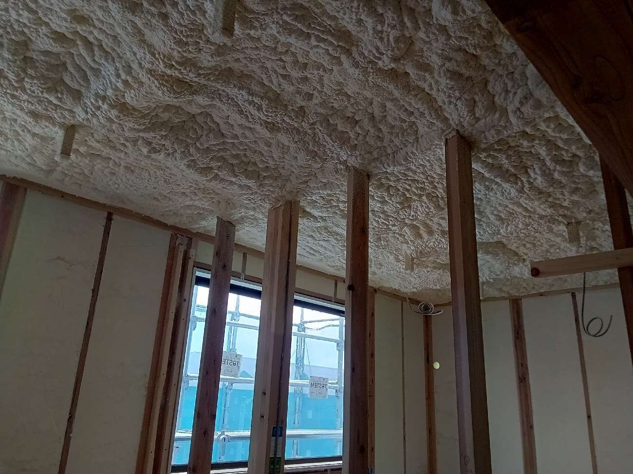 1000002415.jpg